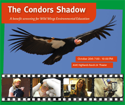 Condor, Film & Friends