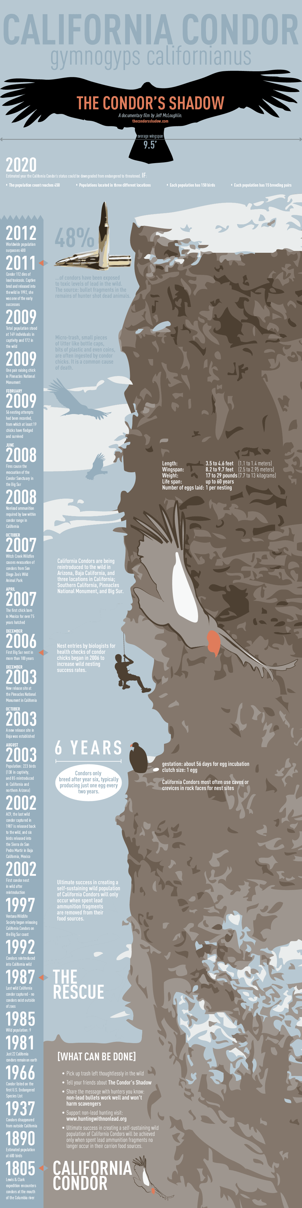 Condor's Shadow Infographic