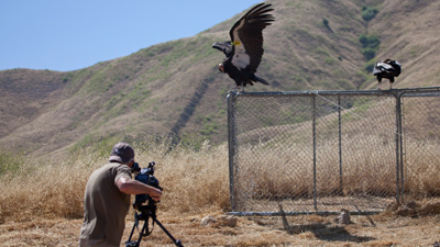 Jeff McLoughlin filming The Condor's Shadow